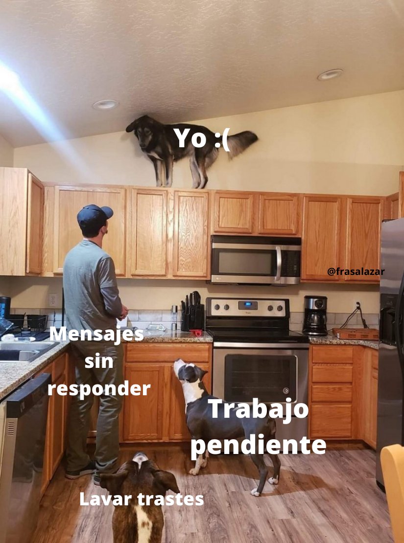 frasalazar's tweet photo. Tengo mil pendientes y en lugar de hacerlos hice este momo https://t.co/8vo75SezHh