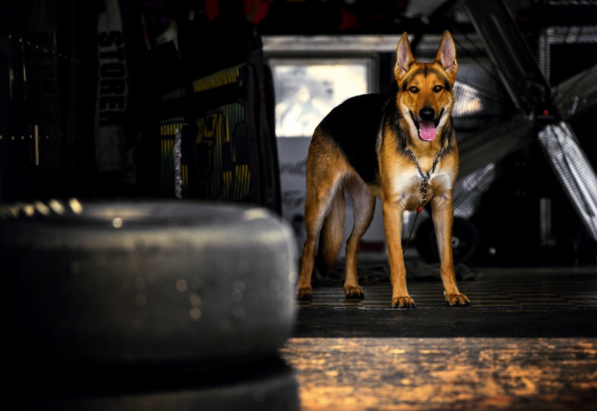 Racing America tweet media