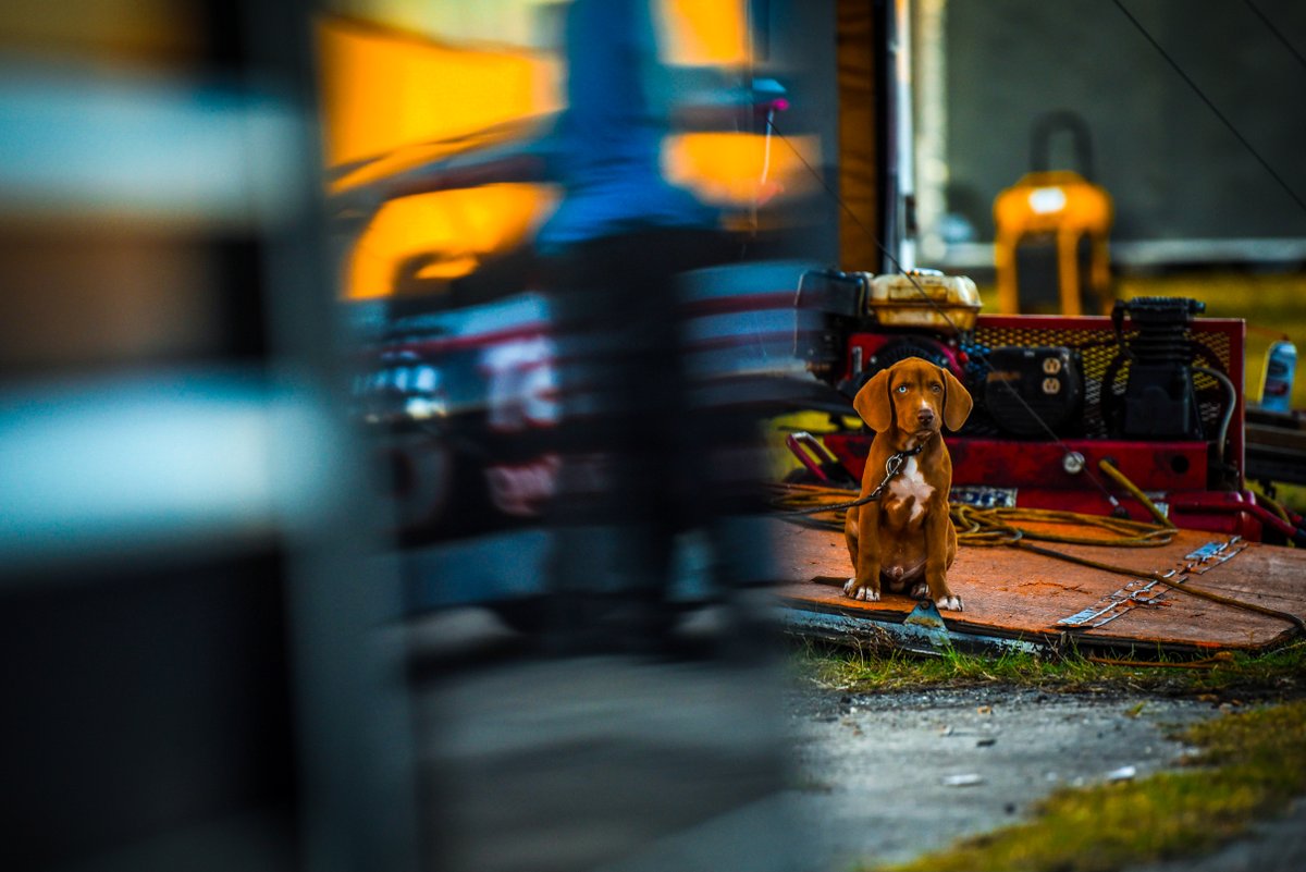 Racing America tweet media