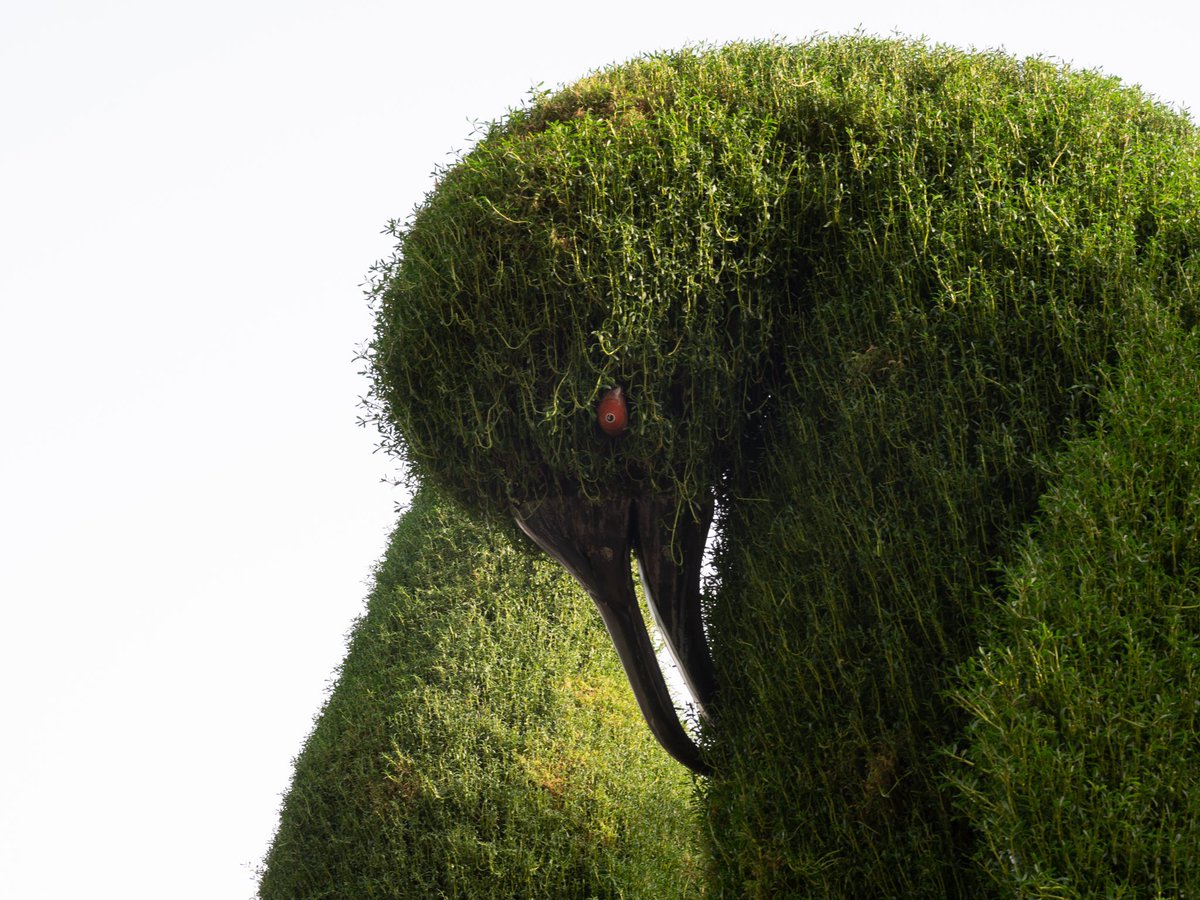 Dannysigma's tweet photo. @FlakPhoto Dubai Miracle Garden. Not at all strange and nightmarish. No. https://t.co/SXRIWn3szB