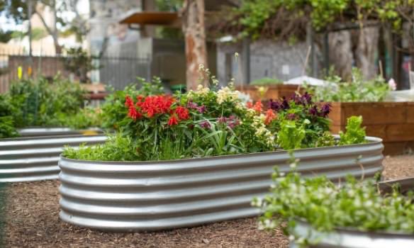 BBaillieston's tweet image. We are back and getting ready for the year ahead.  Lots of lovely things have been happening in the background since our last visit in November when we planted spring bulbs
Please get in touch if you can help on Wednesdays and Saturday mornings at 10.30am from Sat 26th March