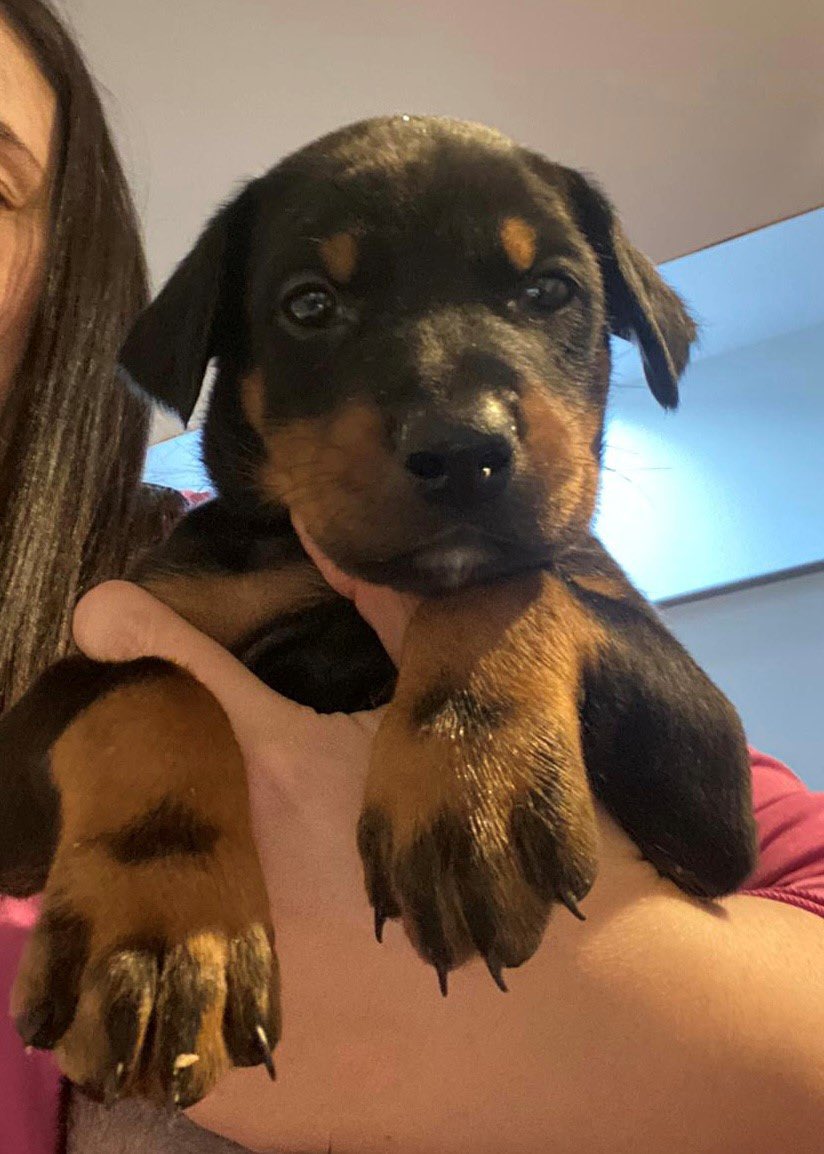 Reeds Court of Protection Team tweet media