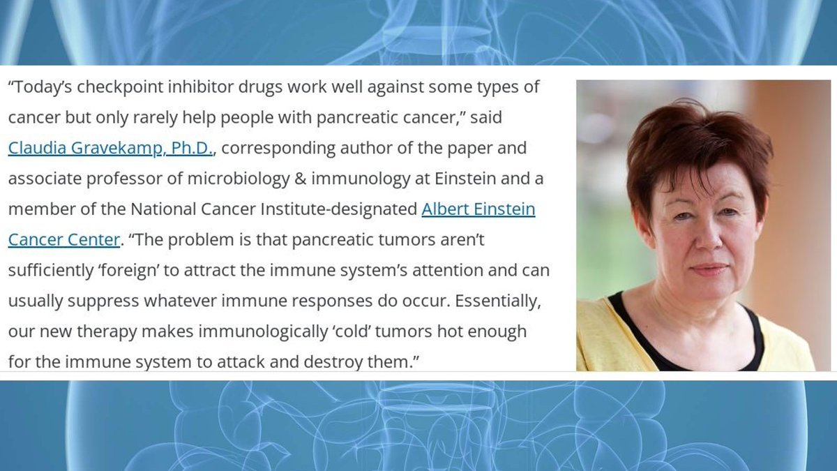 Albert Einstein College of Medicine - Official (@einsteinmed) on Twitter photo A new strategy devised by Einstein scientists has succeeded in making #PancreaticCancer tumors visible to the immune systems of mice and vulnerable to immune attack, reducing cancer metastases by 87% bit.ly/3qwMVBn Today in <a href="/ScienceTM/">Science Translational Medicine</a> A new strategy devised by Einstein scientists has succeeded in making #PancreaticCancer tumors visible to the immune systems of mice and vulnerable to immune attack, reducing cancer metastases by 87% bit.ly/3qwMVBn Today in <a href="/ScienceTM/">Science Translational Medicine</a>