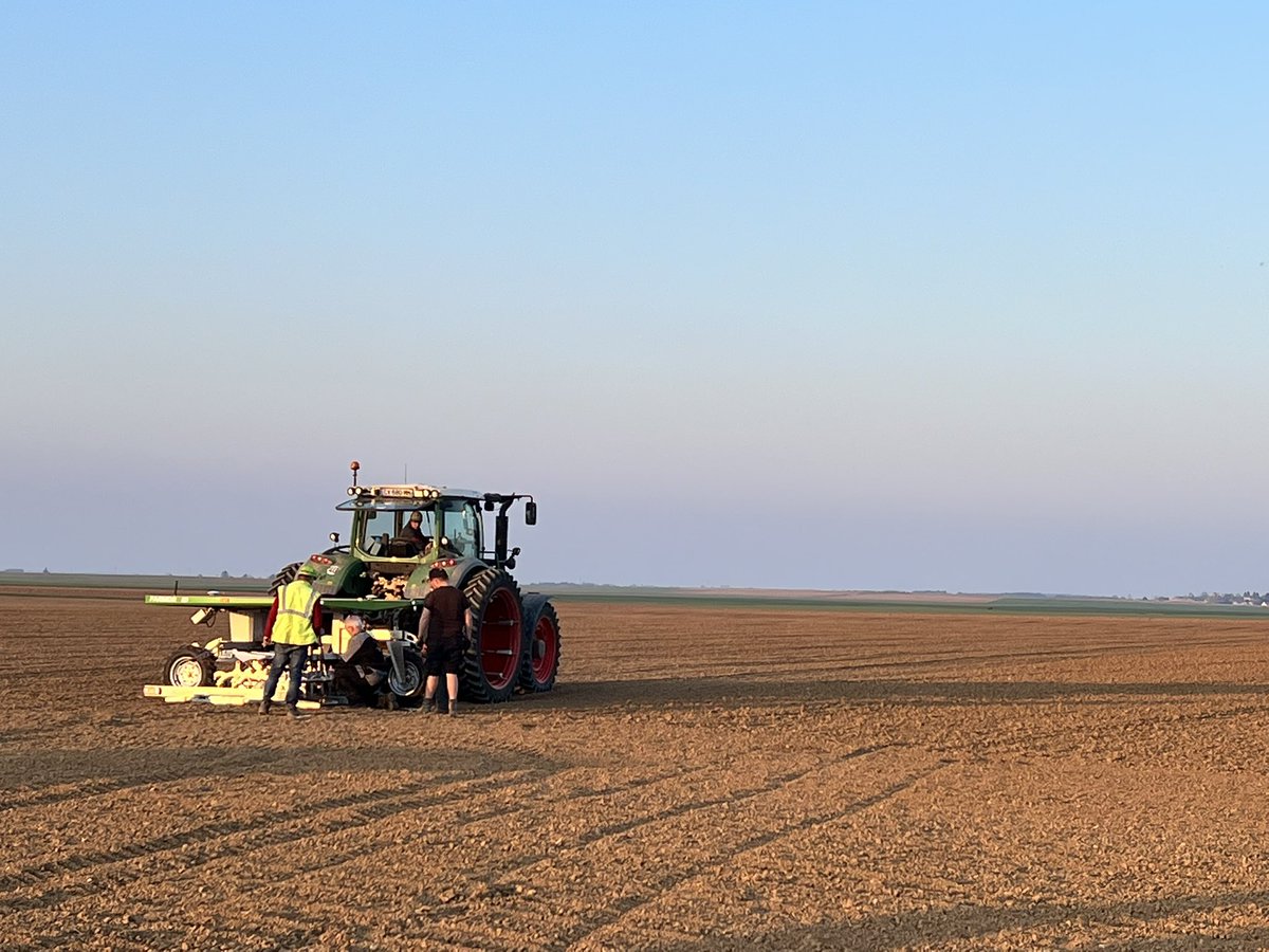 Lefort Guillaume tweet media