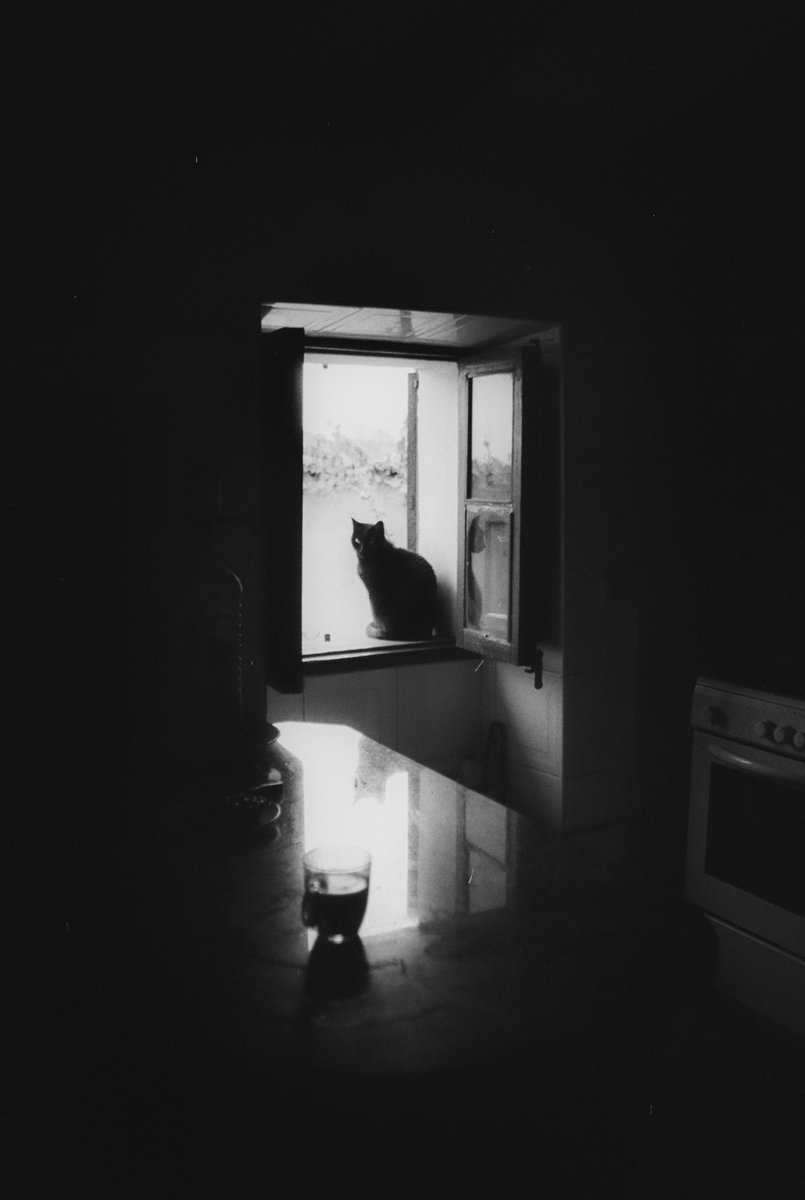 L_Outopia's tweet photo. okey, I'm in love https://t.co/KwpH8kTjHk