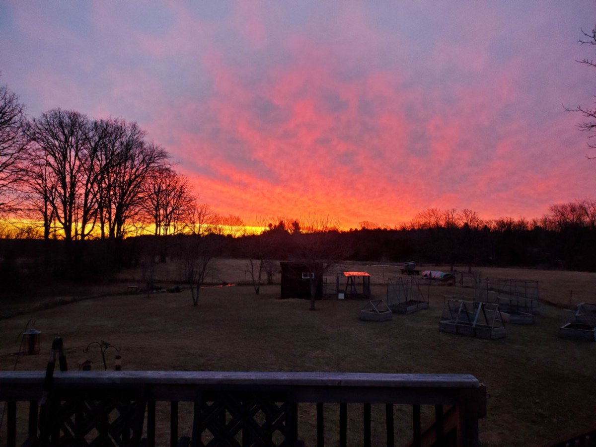 HarrowPS_LDSB's tweet photo. 📸Mrs. Hoover snapped this beautiful Harrowsmith sunrise from her deck this morning. #Harrowsmith #breathtaking https://t.co/GHP1hmpDz7