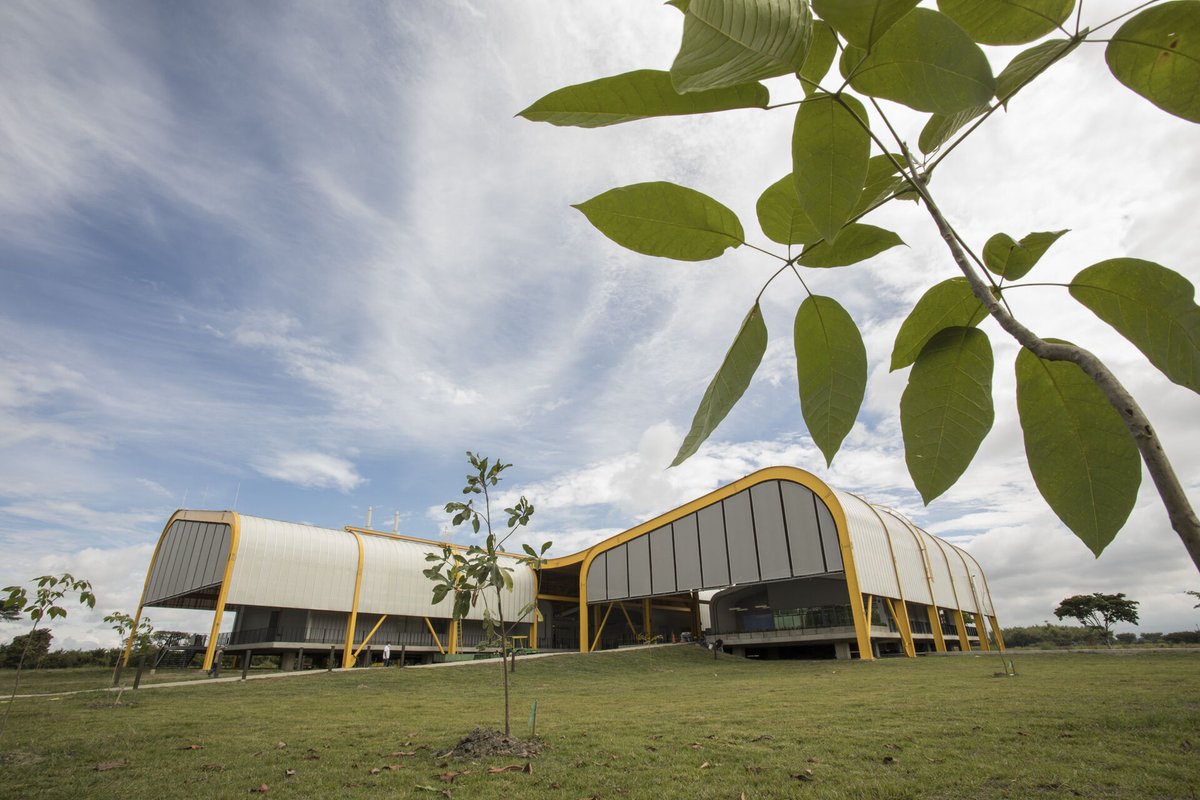 nmas1org's tweet photo. Colombia inaugura gran banco genético de semillas con parámetros ecoeficientes

- Colombia, tierra querida. #Biodiversidad 🇨🇴
- #SemillasDelFuturo, el nuevo banco de germoplasma.
- La diversidad cultural de #Colombia  

▶️https://t.co/aCbAQk67aU https://t.co/WI5mjh7Ue4