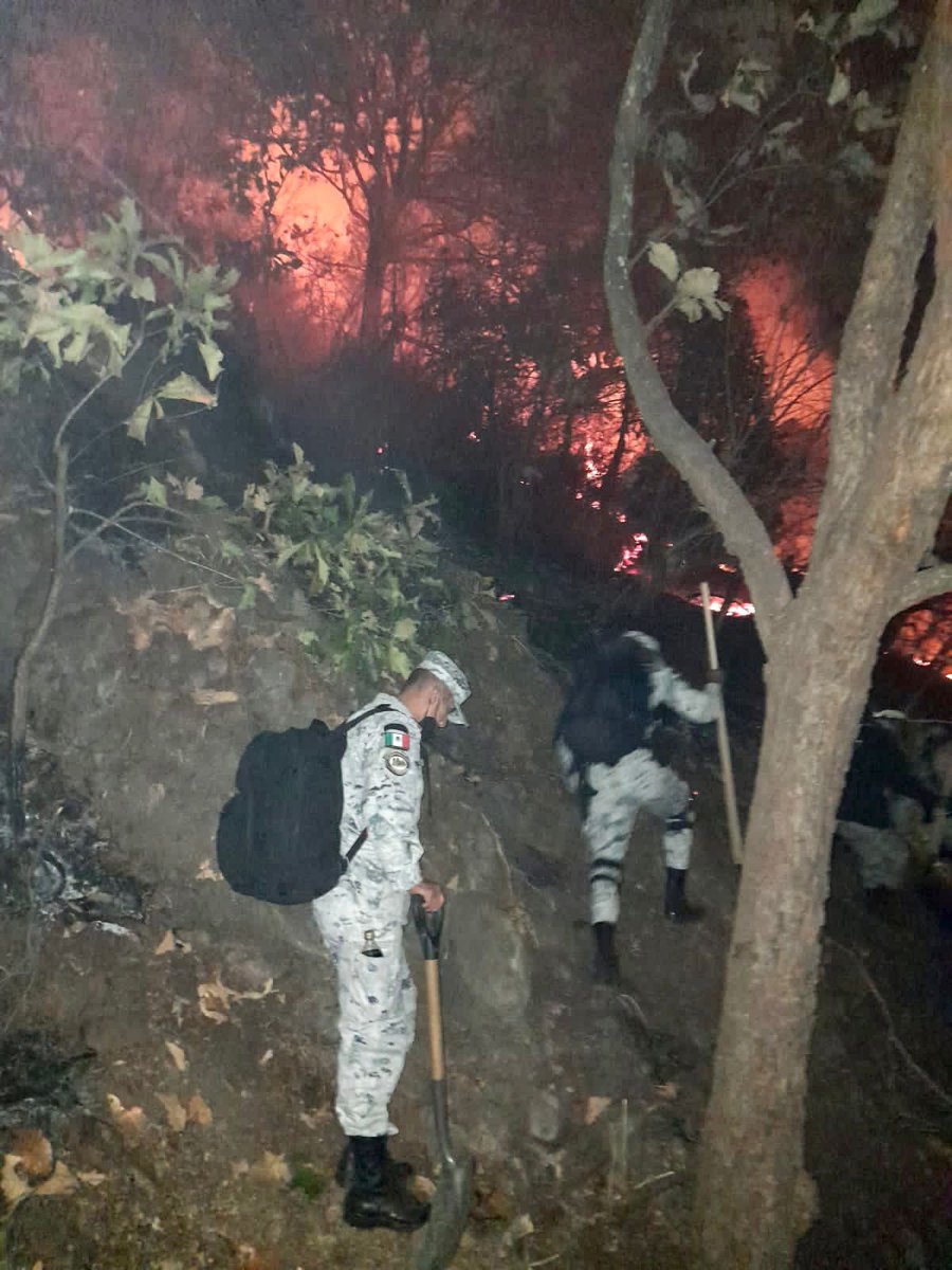 amarilloalarcon's tweet photo. #MarchasForzadas para sofocar #Icendio #Foresta en el cerro de #Tepozteco https://t.co/vCCXVBWtQG