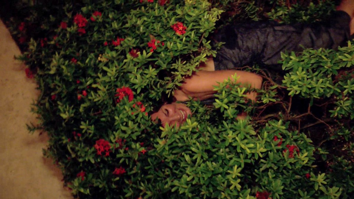Real Housewives Gifs tweet media
