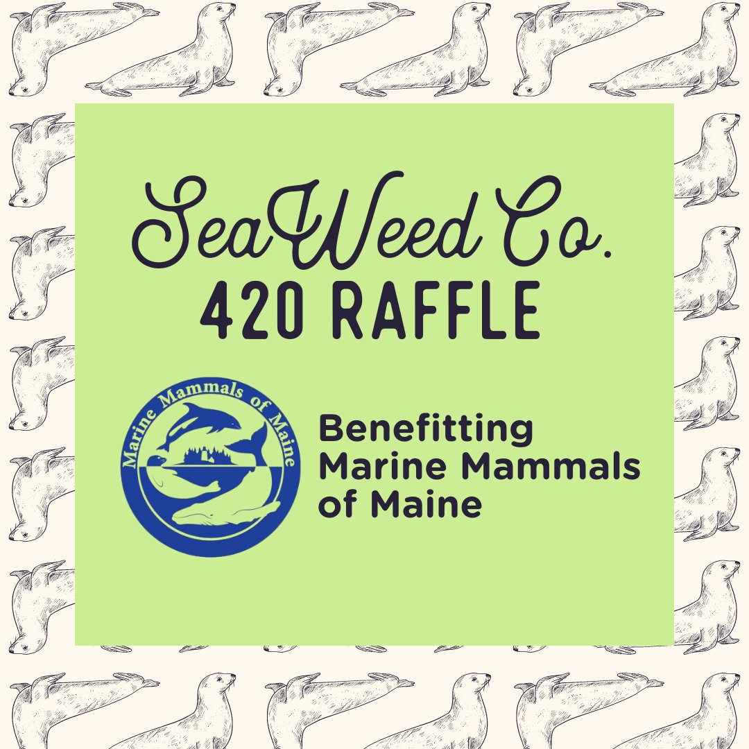 SeaWeedCo's tweet photo. All proceeds benefit Marine Mammals of ME - a non-profit organization dedicated to marine mammal and sea turtle response, rescue, research and education.

Get your tickets ASAP! Available in store only, winners drawn on 420.
#MMoME #Maine #PortlandMaine #SeaWeedCo https://t.co/KODwJp43Kv