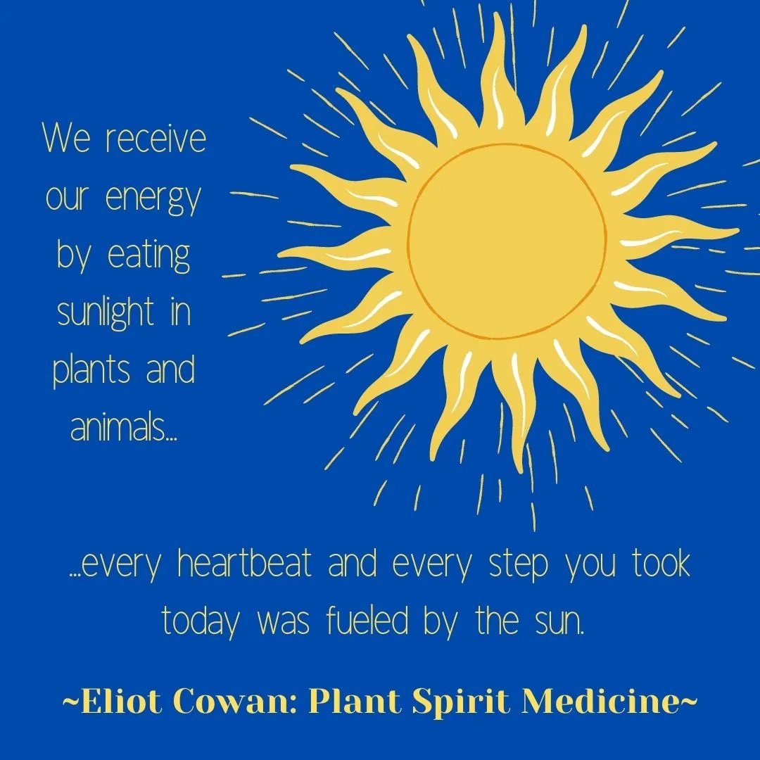 Connectiv_Prjct's tweet photo. We are all connected by the sun! Find time to thank the sun this week. #ConnectivityProject https://t.co/dwIjv1ALMR