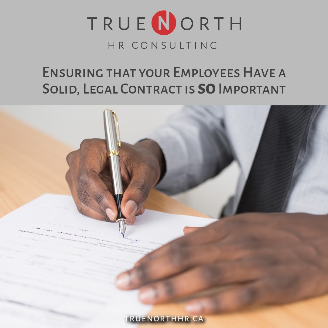 Ensuring that your employees have a solid, legal contract is SO important. True North HR can help you protect yourself and your workforce. Book your FREE discovery session to find out more at truenorthhr.ca/contact

#employeeagreement #employeecontract #hrconsulting
