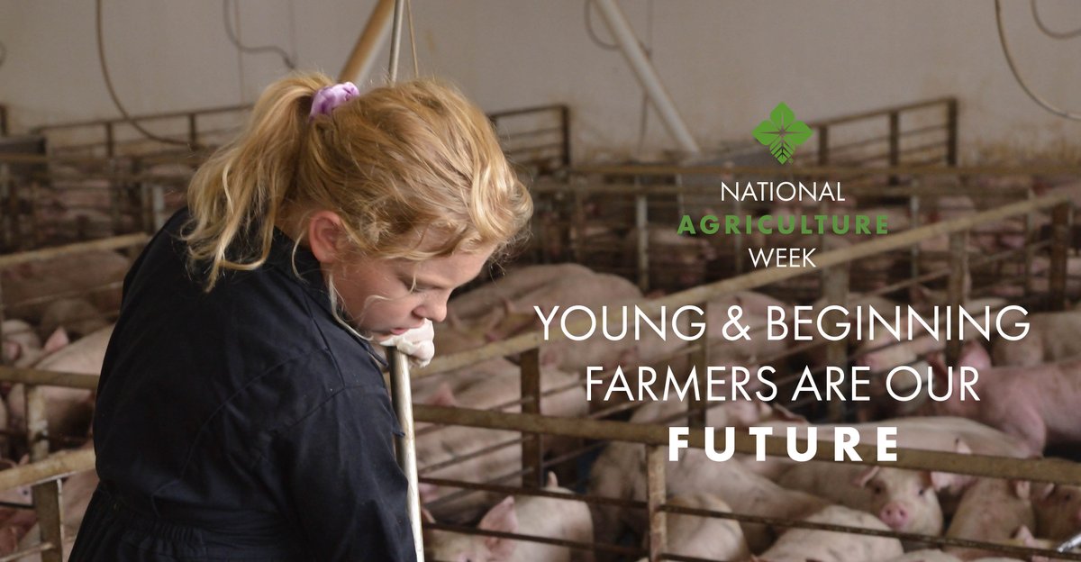 farmcredit's tweet photo. The future of ag is only as powerful as the fresh set of voices who lead the industry. From the producers who take the reins of their family operation to the ones who get their start in ag, #FarmCredit proudly supports beginning farmers. #NationalAgricultureWeek https://t.co/VjwdI8VO1h
