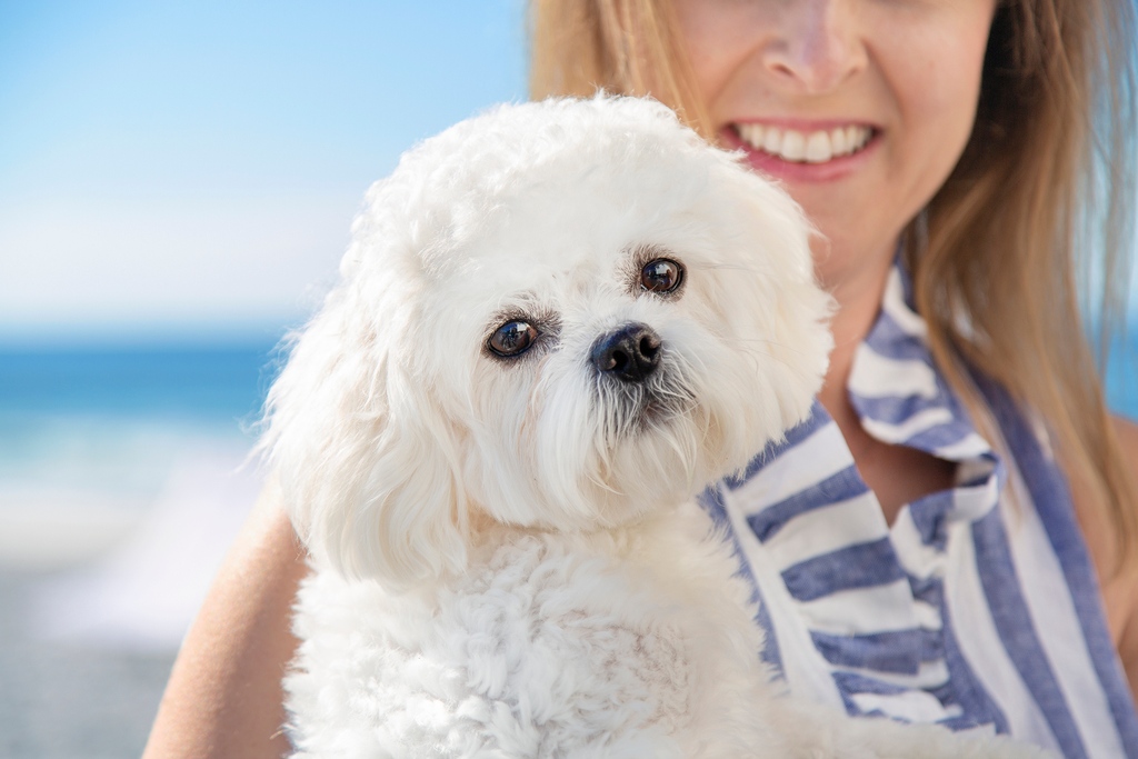 TheOceanReef's tweet photo. Meet Our Guests from Ozan, AR! Some of our favorite repeats have returned - only this time with their fur babies! See the pet-friendly 30A vacation home they stayed in here: https://t.co/P0BaXbyNAh
#DuneAllenBeach #SouthWalton #30A https://t.co/9cXeMdkyDM