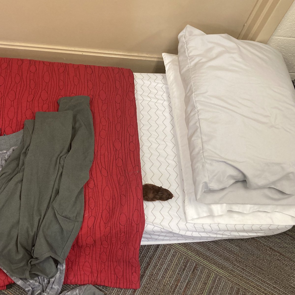 Fairfax OSOB tweet media