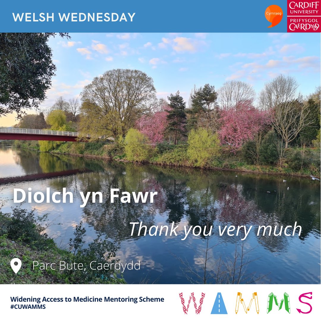 CU_WAMMS's tweet photo. Welsh Wednesday is a reminder to thank patients, staff, and colleagues for their time on placement. It takes a lot of effort and patience to teach medical students and remembering to show gratitude is vital 🏴
#Cardiffuni #wideningparticipation #uni #medicine #cuwamms https://t.co/uFrAKktMjs