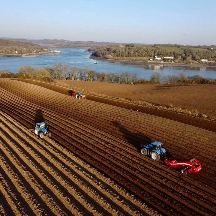 Blas y Tir tweet media