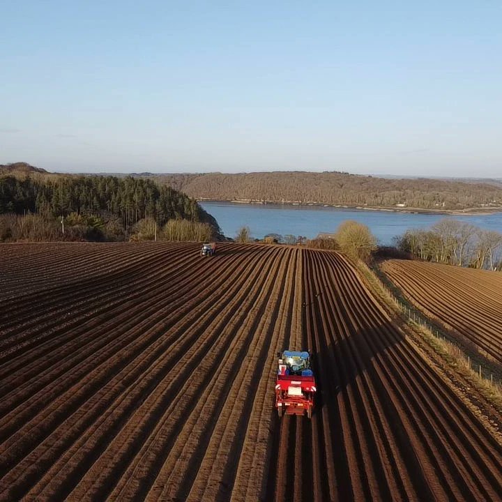 Blas y Tir tweet media