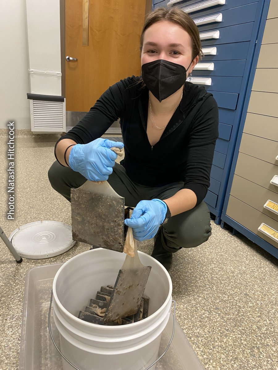 SmithsonianEnv tweet media