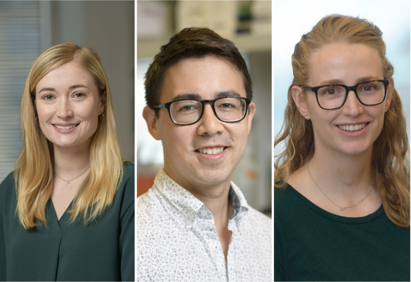 stemcellpodcast's tweet photo. On this week's episode: an alternate #TCACycle! 🔄
@MSKCancerCenter researchers identified a non-canonical TCA cycle that is required for changes in #CellState. #KrebsCycle
@paigearnold2 @__btjackson @lydfinley
📎 https://t.co/eARcF8kTBf
🎙️ https://t.co/K1gnM5ejcG https://t.co/QNYabjNHj3