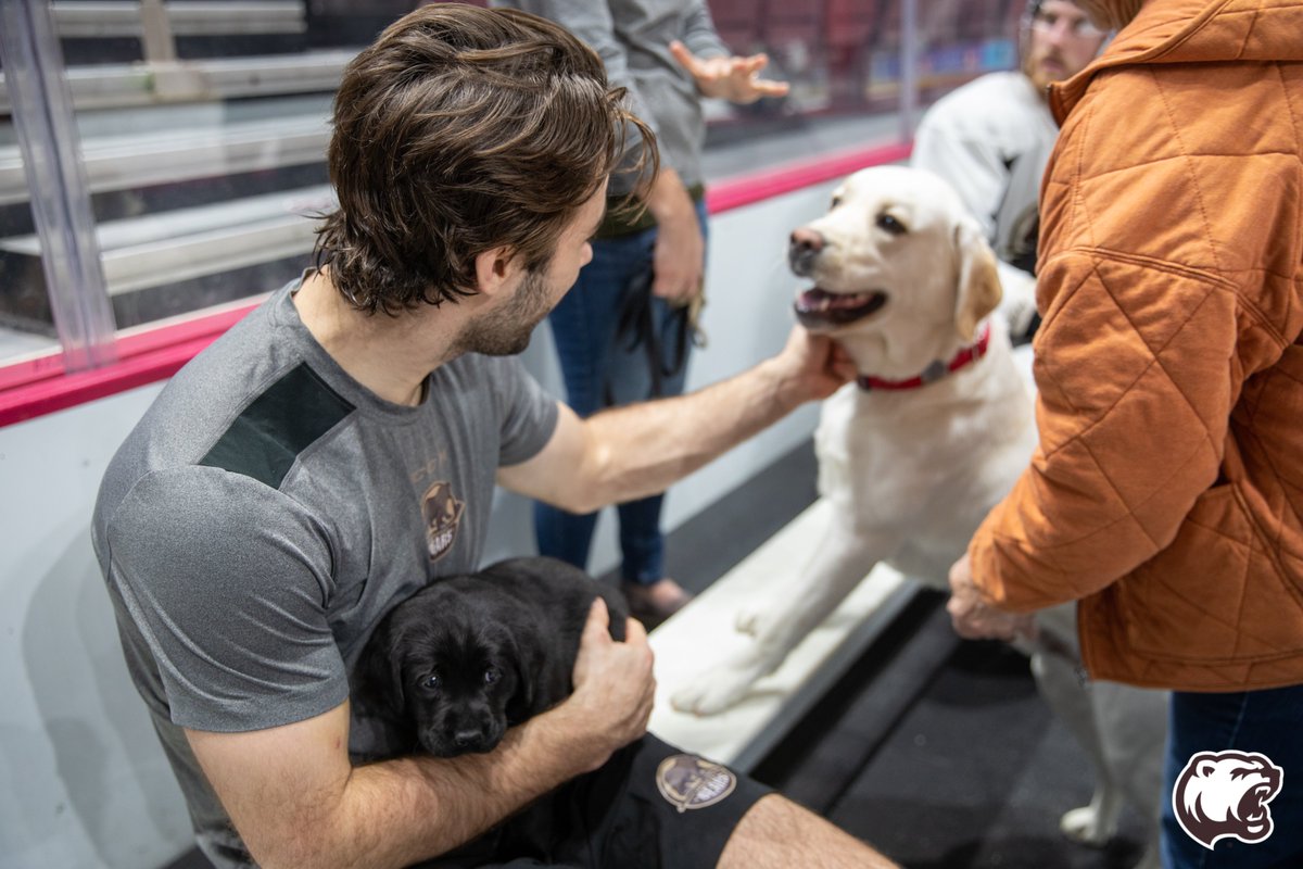 Undefeated since we played with puppies!

2,999 retweets and we'll get a team dog.