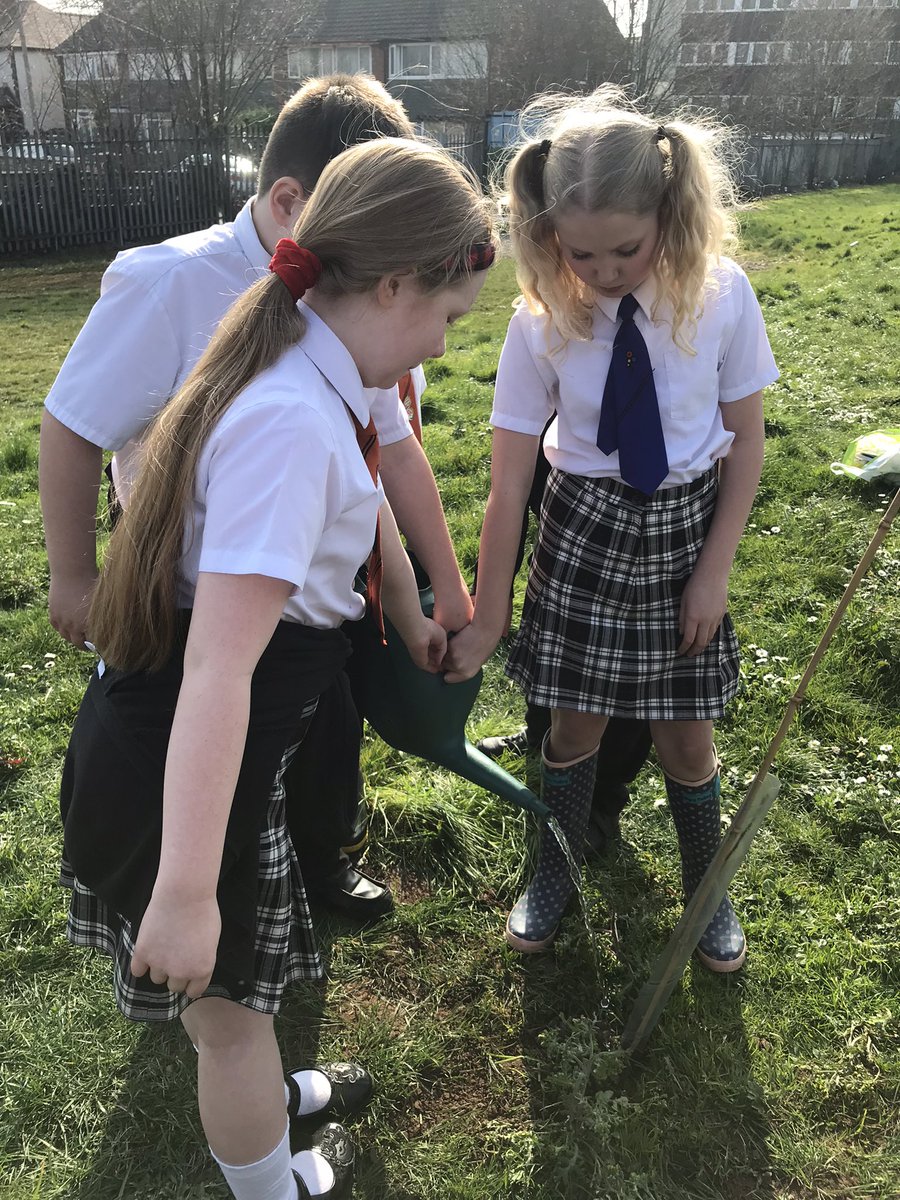MrsBatemanFS's tweet image. From our youngest in nursery all through Primary to year 6 we have enjoyed our first jubilee experience - planting trees for the Queen’s green canopy.  Well done everyone. @QGCanopy @TheTreeCouncil @UnityBlackpool