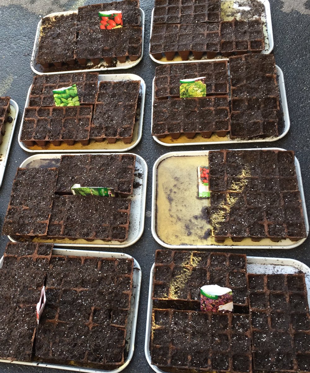 CLIEP : Collège International de l'Est Parisien (@clg_inter) on Twitter photo Démarrage de l’Atelier jardinage cet après-midi. Semis des légumes pour le potager : salades, tomates, basilic, fleurs. Un bel engagement des élèves de l’internat pour relancer le jardin pédagogique <a href="/AcCreteil/">Académie de Créteil</a> <a href="/seinesaintdenis/">Département de Seine-Saint-Denis</a> #potager <a href="/LiepNoisy/">liep</a> Démarrage de l’Atelier jardinage cet après-midi. Semis des légumes pour le potager : salades, tomates, basilic, fleurs. Un bel engagement des élèves de l’internat pour relancer le jardin pédagogique <a href="/AcCreteil/">Académie de Créteil</a> <a href="/seinesaintdenis/">Département de Seine-Saint-Denis</a> #potager <a href="/LiepNoisy/">liep</a>