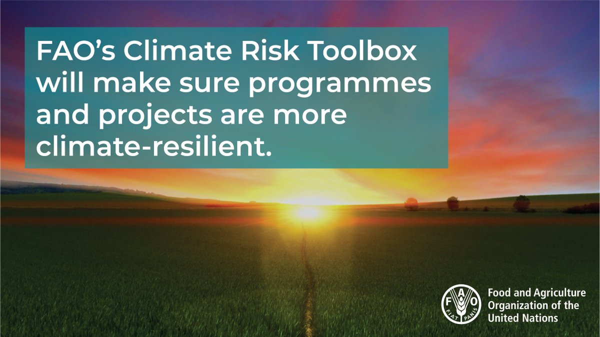 FAOclimate's tweet photo. Happy World Meteorological Day 🌎🛰️⛈️

Get ready for the launch of @FAO's new #ClimateRisk Toolbox to identify and support climate risk hotspots around the world. 

Watch the video to learn how it works! 

https://t.co/5iJlUb5VqH

#WorldMetDay https://t.co/EWhB2uHfBY