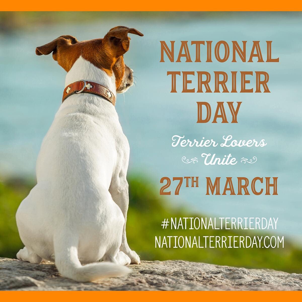 Save the date !  It is National Terrier Day on the 27th of March! #nationalterrierday #weloveterriers #teamterrier