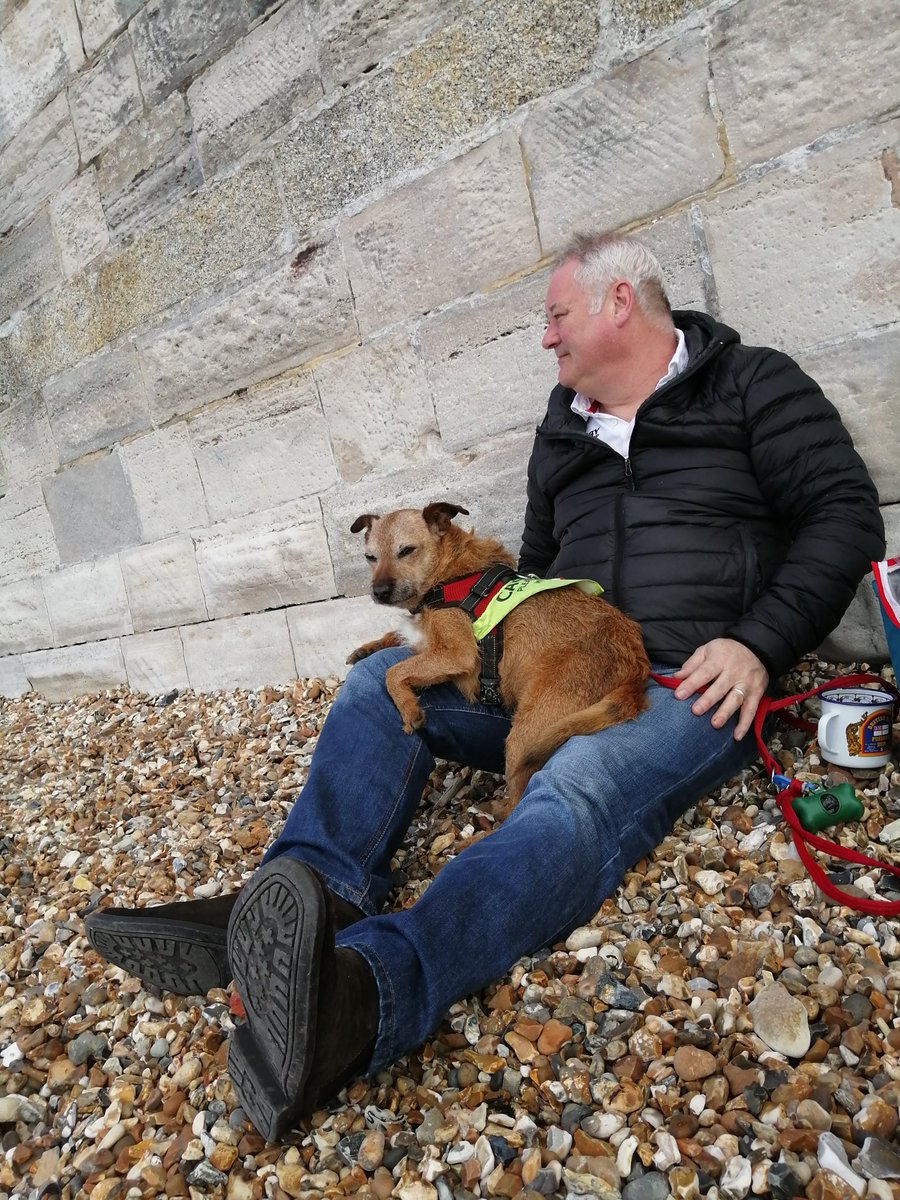 Simon_Newsham's tweet photo. Incredibly sad day, Milo Newsham aka Mr Dinlo went to sleep for the final time, we're going to miss this wonderful little guy #BorderJack https://t.co/i6faAiZMYH