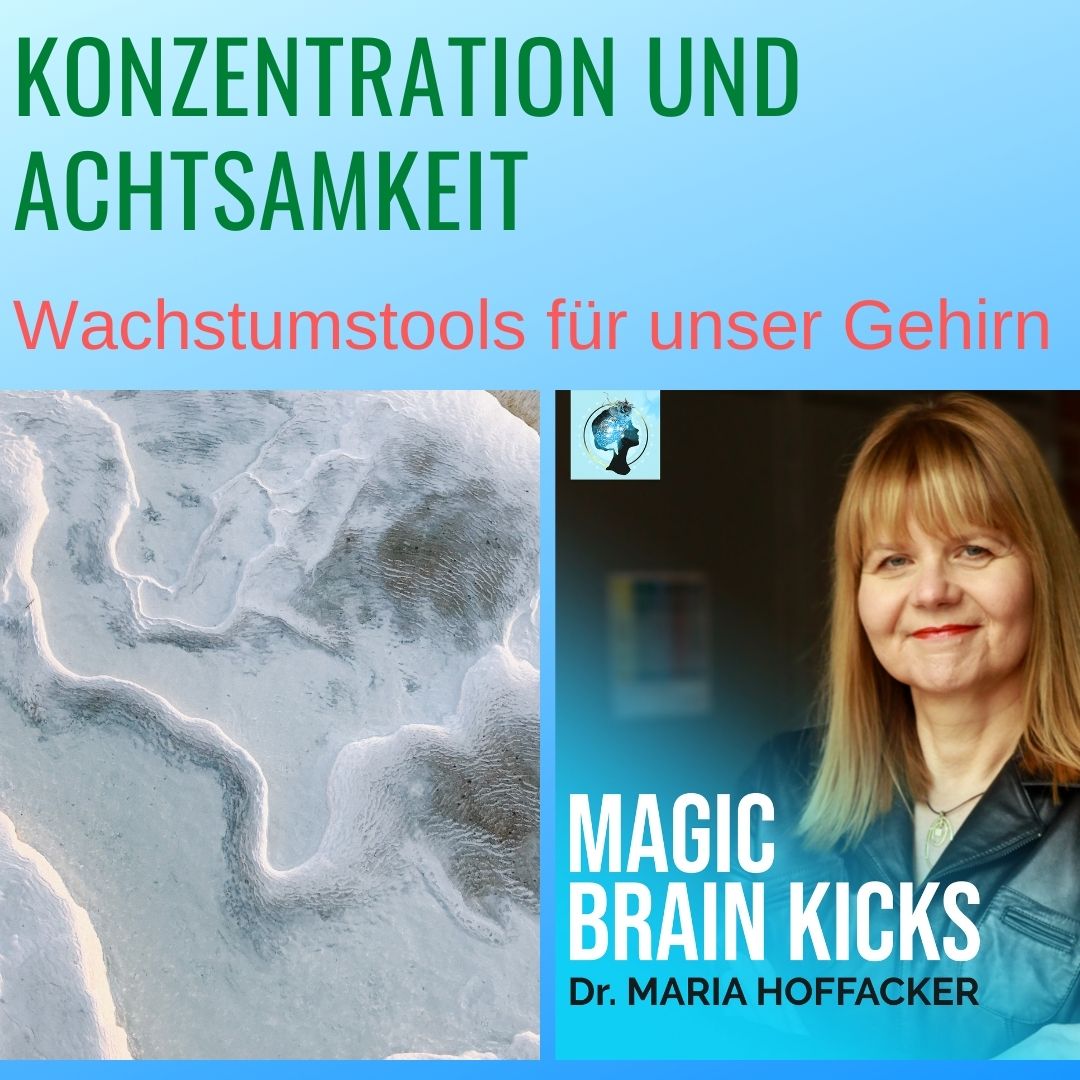 DrHoffacker's tweet photo. https://t.co/5xTFUGoSfq #achtsamführen #selbstführung #neurosience#leadership #brain #magicbrainkicks #Gehirnforschung#agileMethoden #Neudenken #erfolgreichführen#erfolgscoaching #successcoaching#successcoachingforleaders #mindsettraining #perspektivenwechsel#leadershipment https://t.co/9UUu0fk4Ta