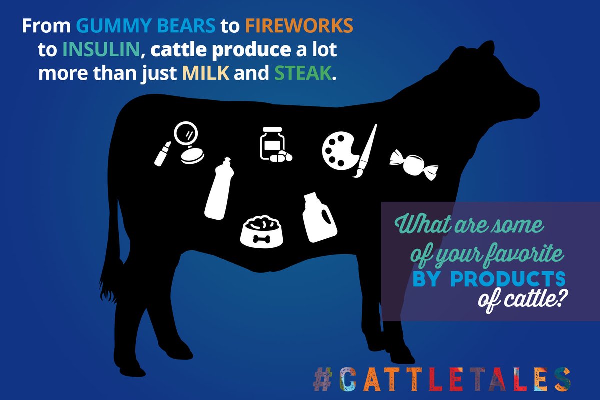 CattleTales's tweet photo. ๐ Comment below your favorite cattle byproduct!
#ThanksCows #NationalAgWeek #CattleTales https://t.co/37W0fJNcVe