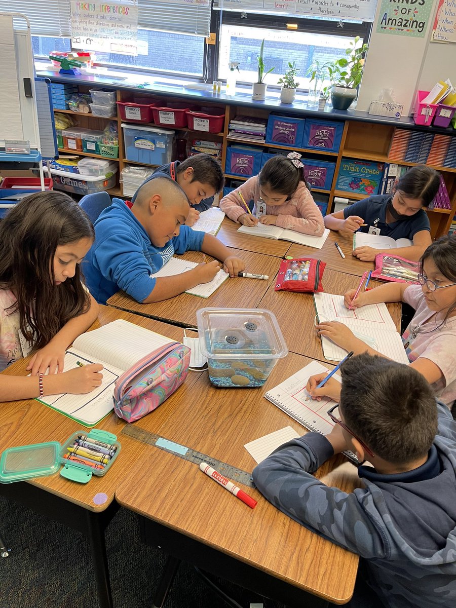 soniacova1's tweet photo. Meet our tadpoles! Area, Perimeter, Cause, and Effect 🤗😂 @ASJohnston1 @IrvingISD #FluentInSuccess https://t.co/kBrGK6g0MV