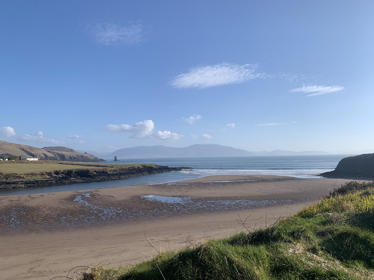 Fallon Moore tweet media