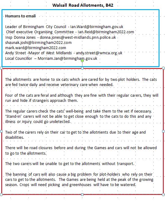 Robert Allotment cat,now helped by Janet & Amanda (@allotmentcat) on Twitter photo 