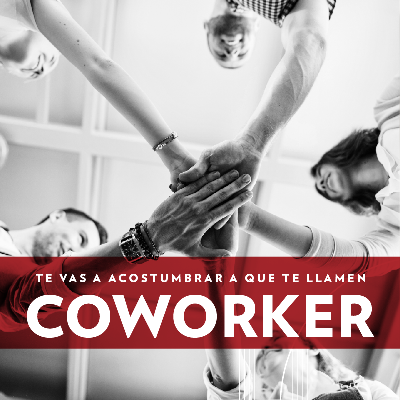 Un espacio cómodo y equipado para poder trabajar y crear tus proyectos. Rodeado con gente con tus mismas ganas y tu misma energía. Eso es lo que te proponemos en el espacio de Cowork libre. ¿Queres saber más? ¡Consúltanos!

#Cowork #emprendedor #emprendedoras #freelancers