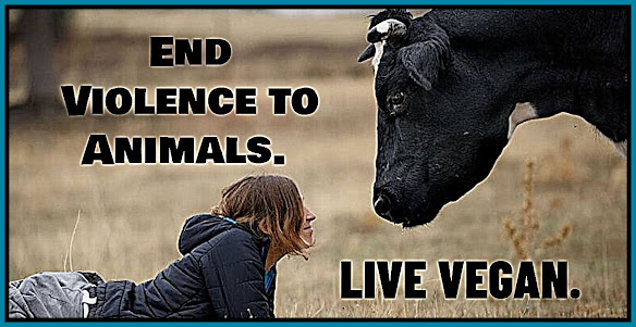 #animalliberation #govegan #plantbased