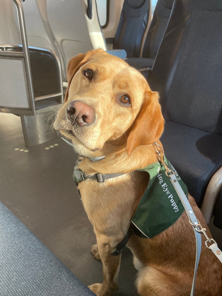 Rutgers Day tweet media