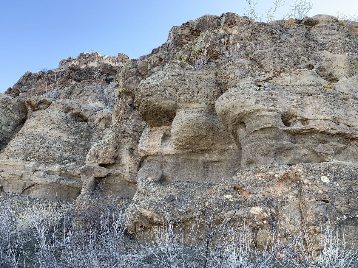 SophieJohnson0's tweet photo. sure most undergrads go to the beach for spring break but I happen to have it on good authority that things were once beachy out here in Golden #sedimentaryrocks #crossbeds #rock https://t.co/DIhJHvjtCz