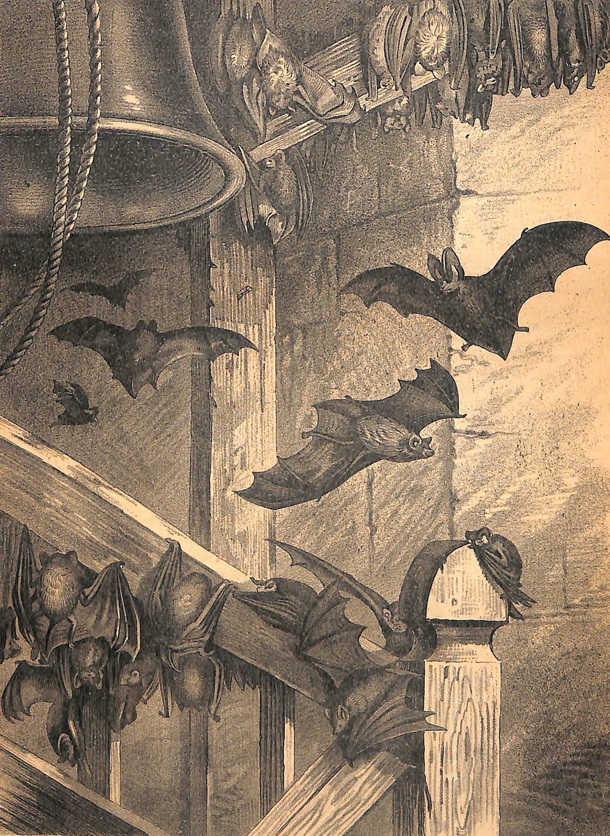 "The colour of my soul is iron-grey and sad bats wheel about the steeple of my dreams." (Claude Debussy)

#ofdarkandmacabre