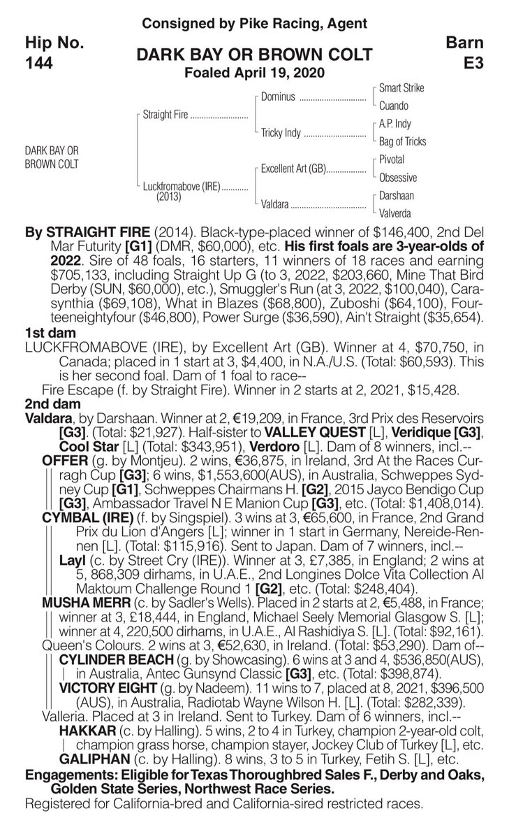 Texas Thoroughbred tweet media