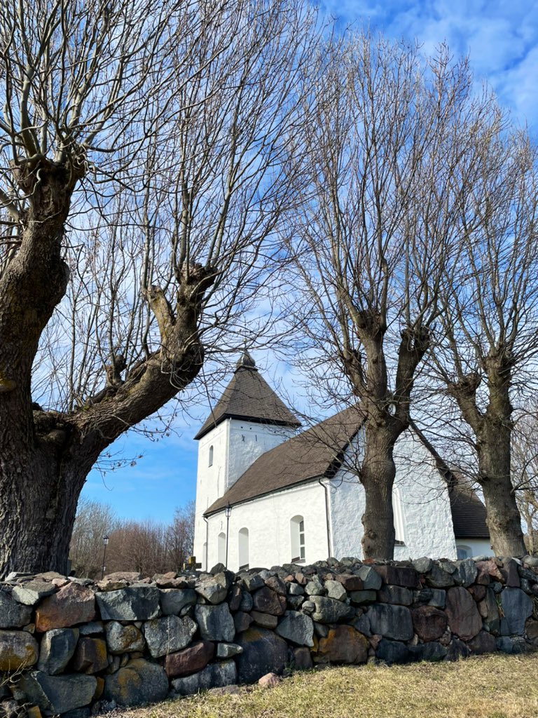 chaosmacken's tweet image. 😎🚙☀️