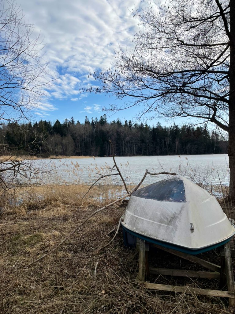 chaosmacken's tweet image. 😎🚙☀️