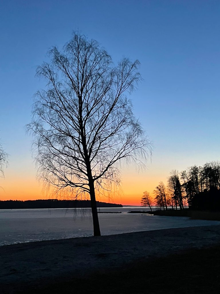 chaosmacken's tweet image. 😎🚙☀️