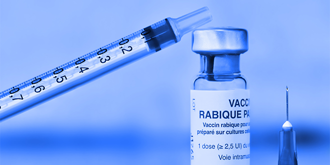 Rabies Free Burkina Faso tweet media