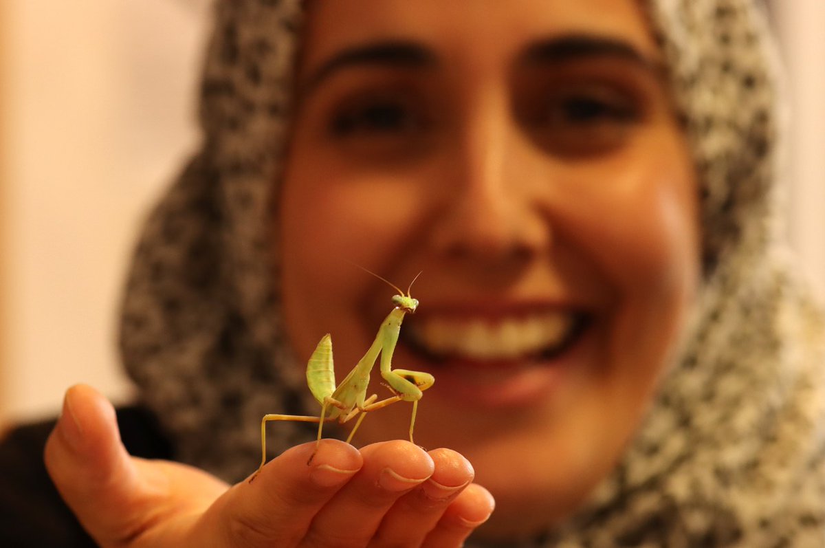 Dr Sara Namvar tweet media