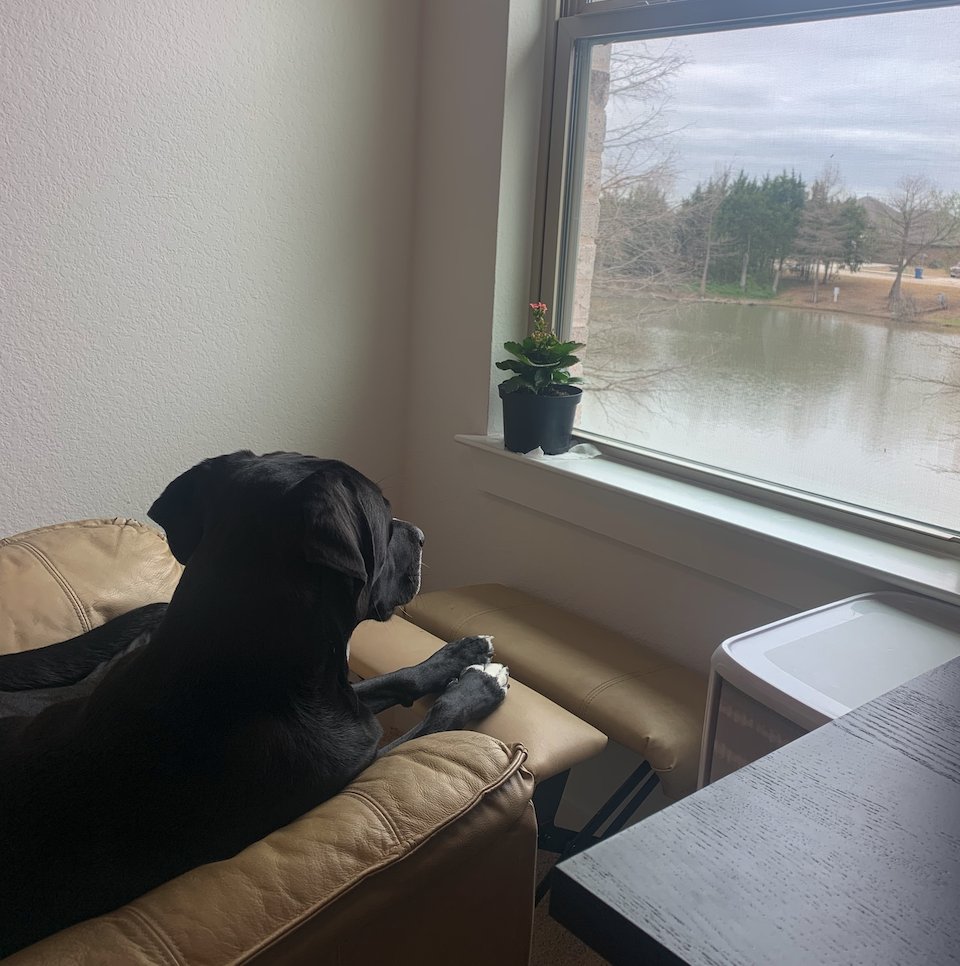 PaigeTiffTiff's tweet photo. I have the cutest Co-Worker 🖤 https://t.co/mzjno2ax8t