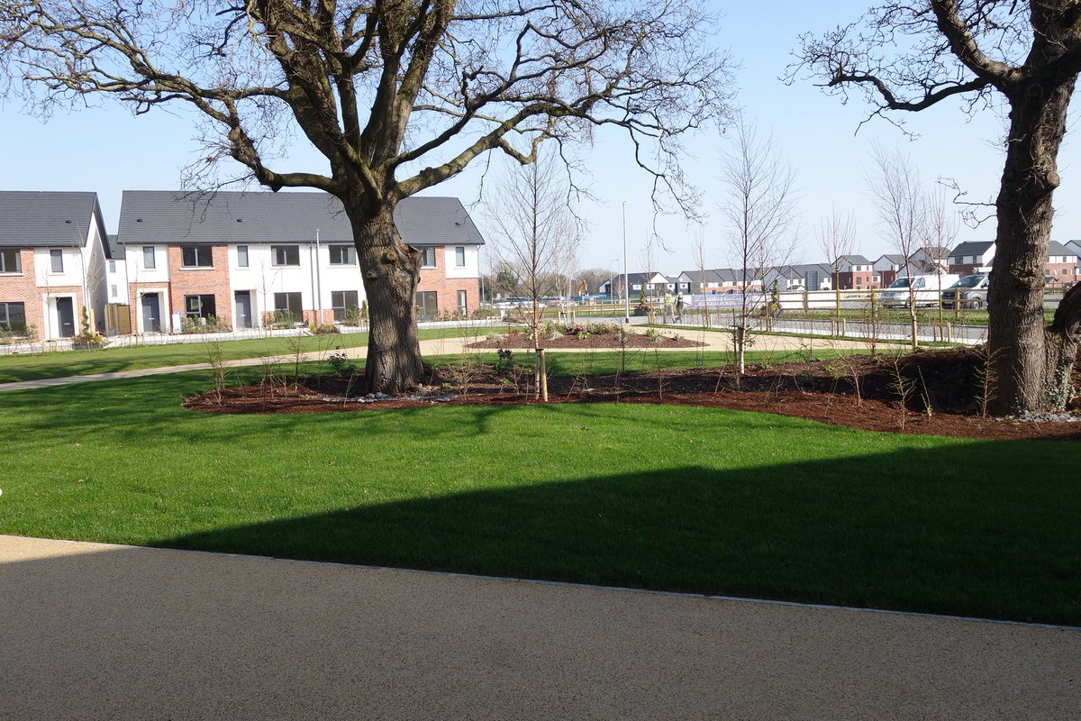 Tandy's Lane Adamstown and the pocket park is nearing completion.