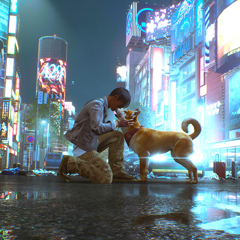 PlayStationAU on Twitter "Read the thoughts of dogs (and cats) in Ghostwire Tokyo to discover