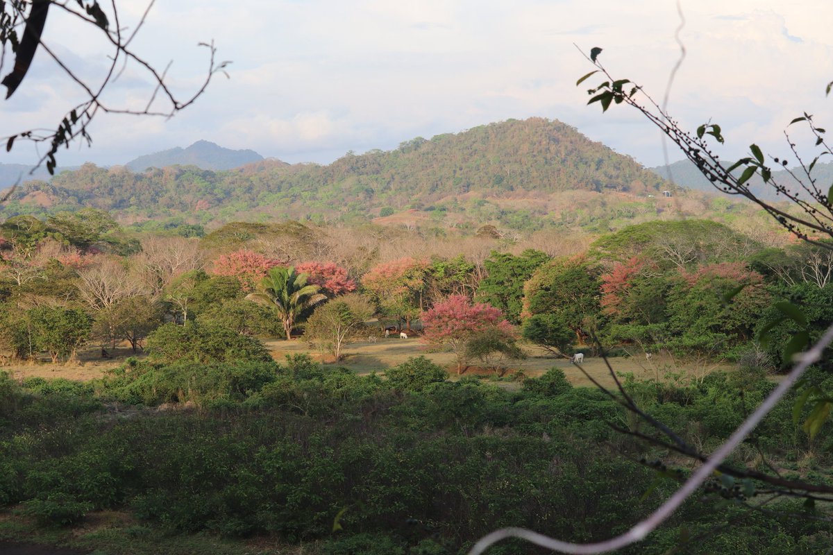 Ramiro García Pintos tweet media